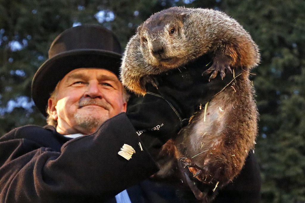 moltobeneonline's tweet photo. Happy Groundhog Day! https://t.co/bOhcWI308s #groundhogday #groundhog #winter #spring #restaurant #moltobene #italian #cranburynj #cranbury #eatlocal #eatfresh #menu #supportsmallbusiness #smallbusiness #delicious #yum #jerseyfresh #nj #food #foodphotography https://t.co/waj9zbyUlJ