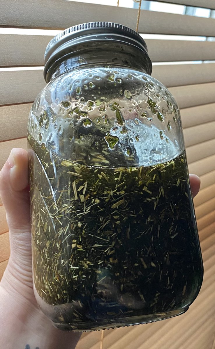 Wormwood (artemisia absinthium) has been used to fight parasites. She’s also fantastic for joint/arthritis pain and severe muscle pain (please do NOT us her for menstrual cramps as it will prolong bleeding), aids in digestion and helps with inflammation. Also great for zits