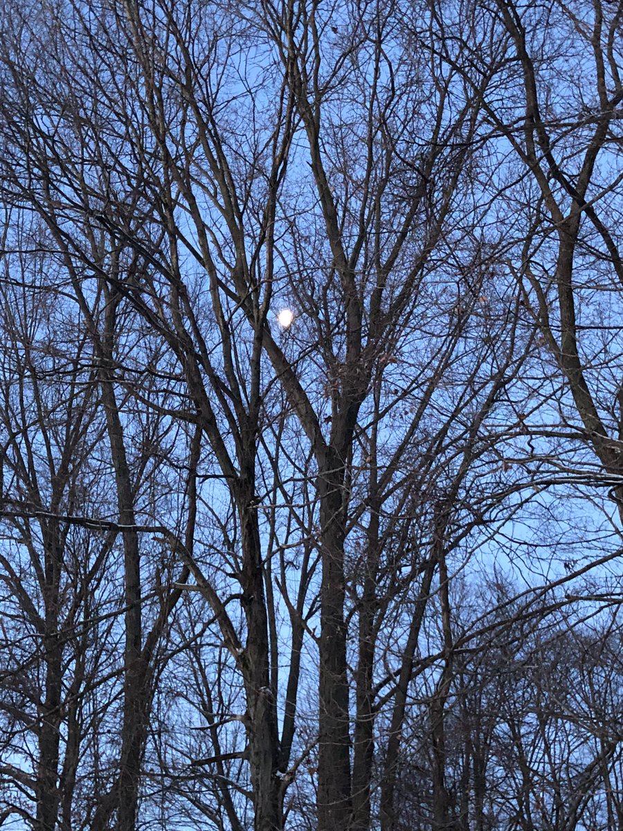 ShanaRwriter's tweet photo. Morning walk, moon set #writing day #indianawinter #WritingCommunity  #iamwriting https://t.co/aeqMy6l4sa