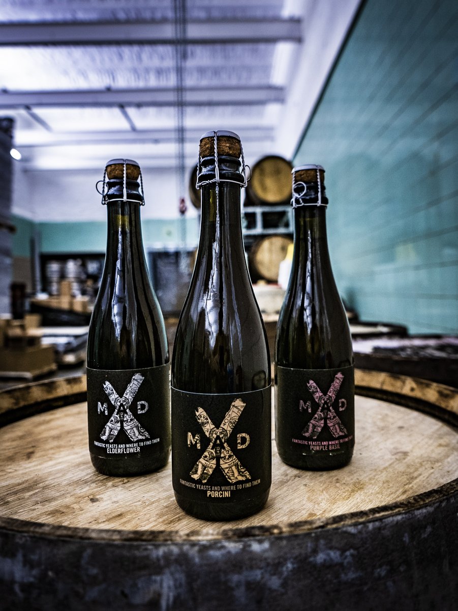 craft brewery MAD SCIENTIST BUDAPEST//Hongrie