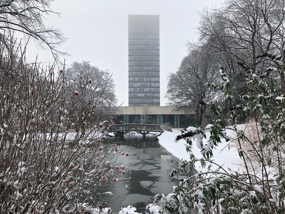 A very cold Weston Park this morning   #SheffieldIsSuper  #SheffieldUniversity &ndash; bei  Weston Park