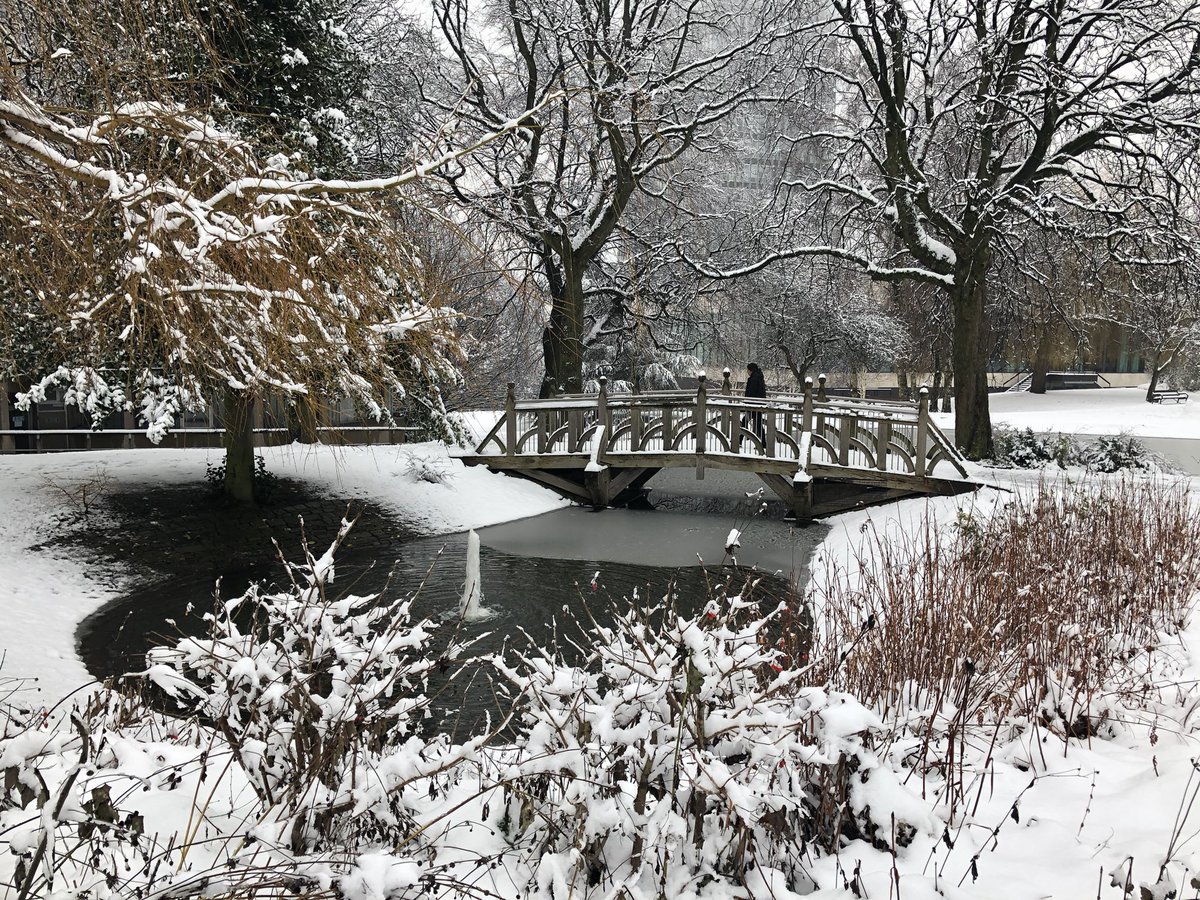 A very cold Weston Park this morning   #SheffieldIsSuper  #SheffieldUniversity &ndash; bei  Weston Park
