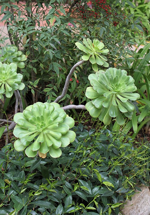 janjohnsen23's tweet photo. The Color of Wellbeing ... Green
The frequency of green relaxes us - we need to be in a garden. All these photos are from my book, Gardentopia. More green, please.
#Gardentopia #wellbeing #gardendesign #designinspiration #gardendesigntips #Green #gardening https://t.co/aq2KF1KDJG