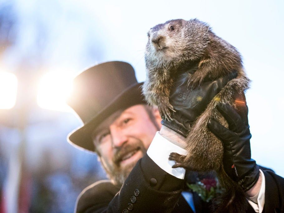 6 more weeks of #winter means you have plenty of time to complete a Rapidos #radon test under closed home conditions. Purchase one today! buff.ly/3ciM29b #groundhogsday2021 #punxsutawneyphil