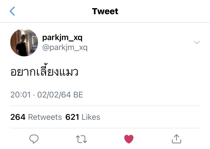 ป้าคทำไมไม่เลี้ยงแมว (1) 
- #minv #มินวี ₍˄·͈ ‧̫ ·͈˄₎