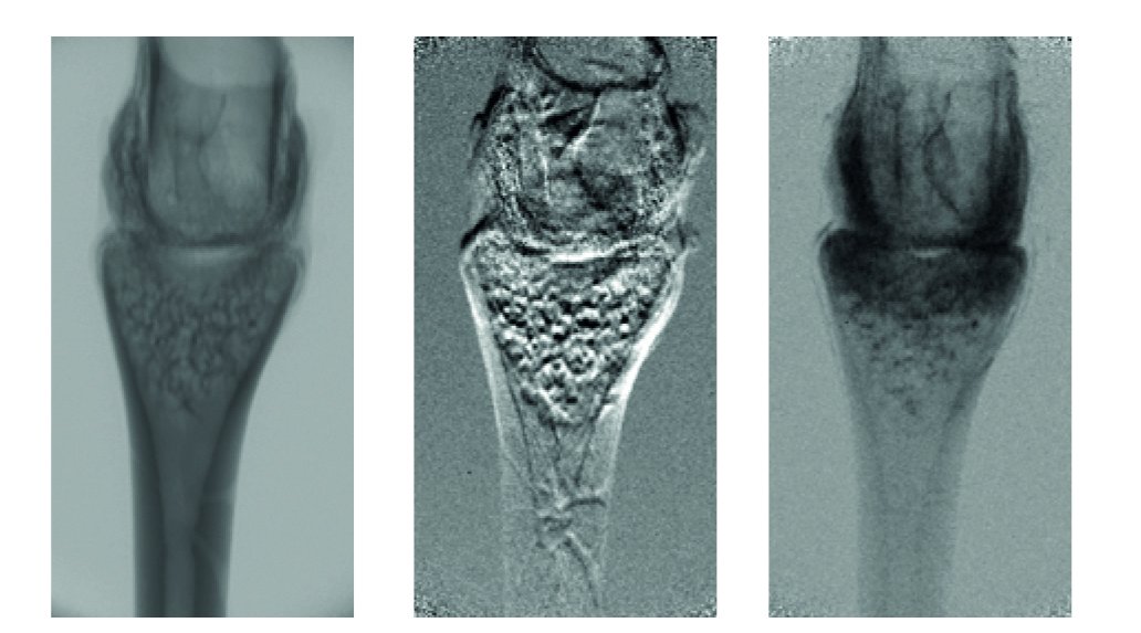 Quantum Design Italy tweet media