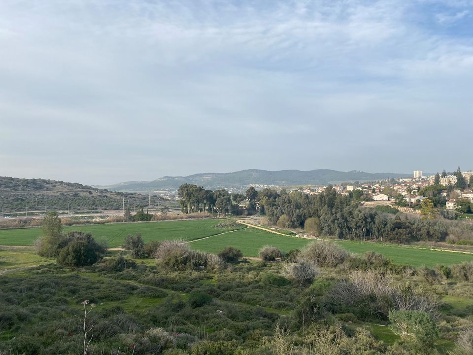 Moshe__Davis's tweet photo. Traded the #Lowcountry for the mountains of #BeitShemesh https://t.co/VXLyrOv0bz