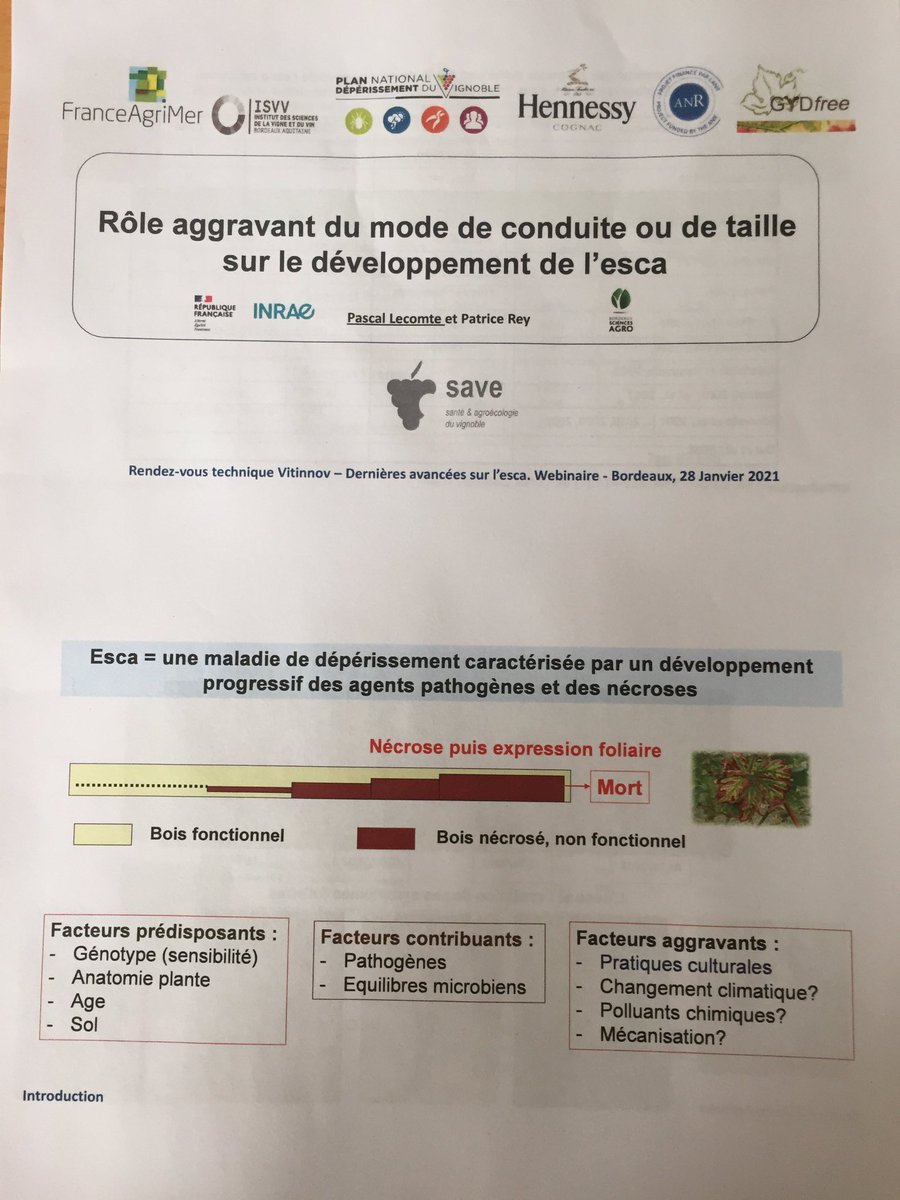 Aujourd’hui on parle taille et esca au vignoble sur le #siteatelierBacchus avec l’intervention de Pascal Lecomte, ingénieur spécialiste des maladies du bois à <a href="/inrae_save/">INRAE_SAVE</a>