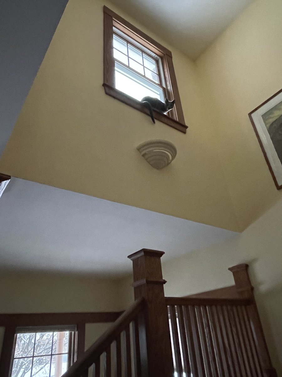 andrew feltus tweet media