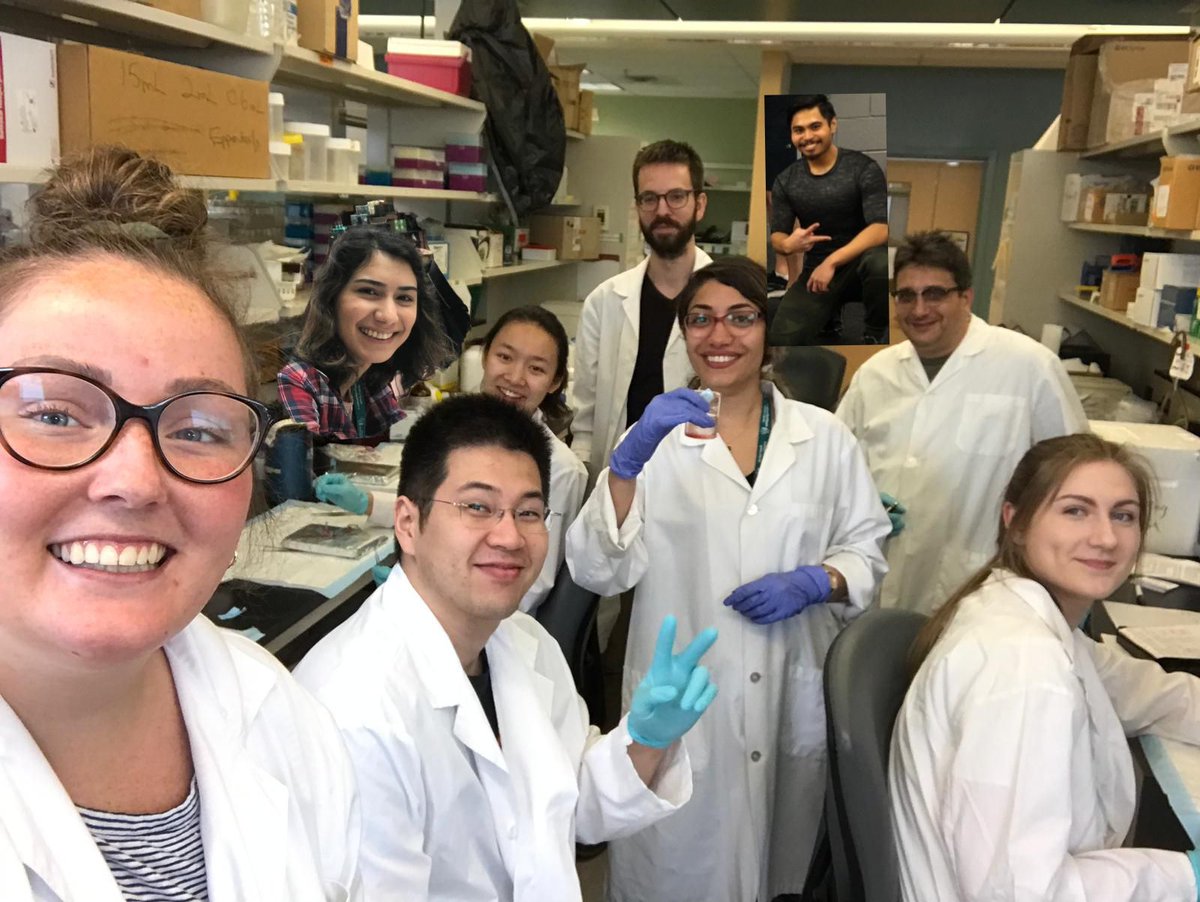AJPLung's tweet photo. New #ResearchArticle in AJP-Lung: The RNA-binding protein Quaking regulates multiciliated and basal cell abundance in the developing lung. Read more here: https://t.co/PjkoyGf72I
@richardkeijzer
#Quaking #RNAbindingprotein #LungDevelopment #MulticiliatedCell #IL6 https://t.co/HXtq0CX5Rp