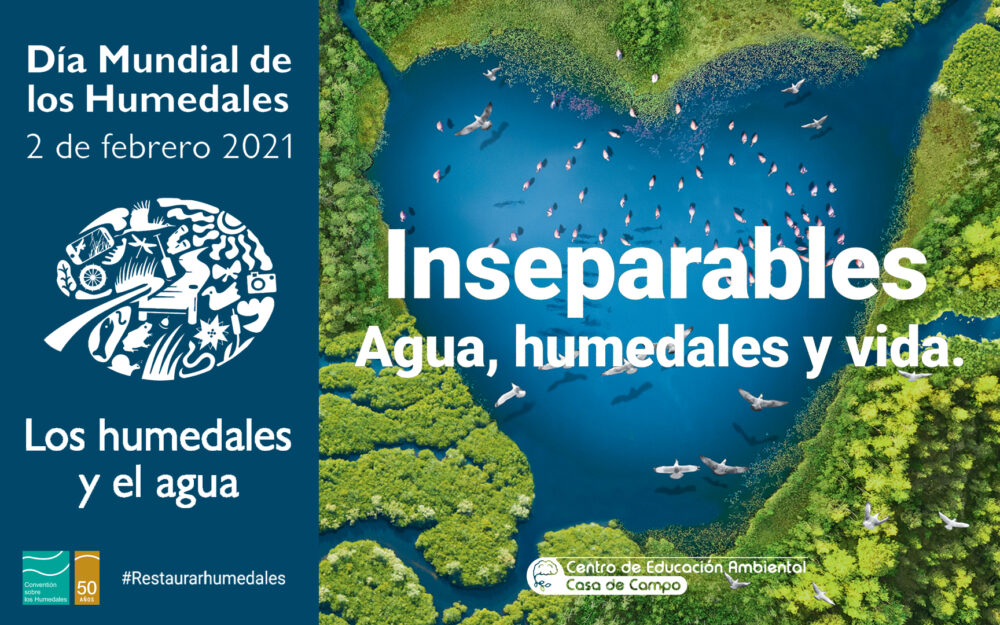EcologistasAlcalá tweet media