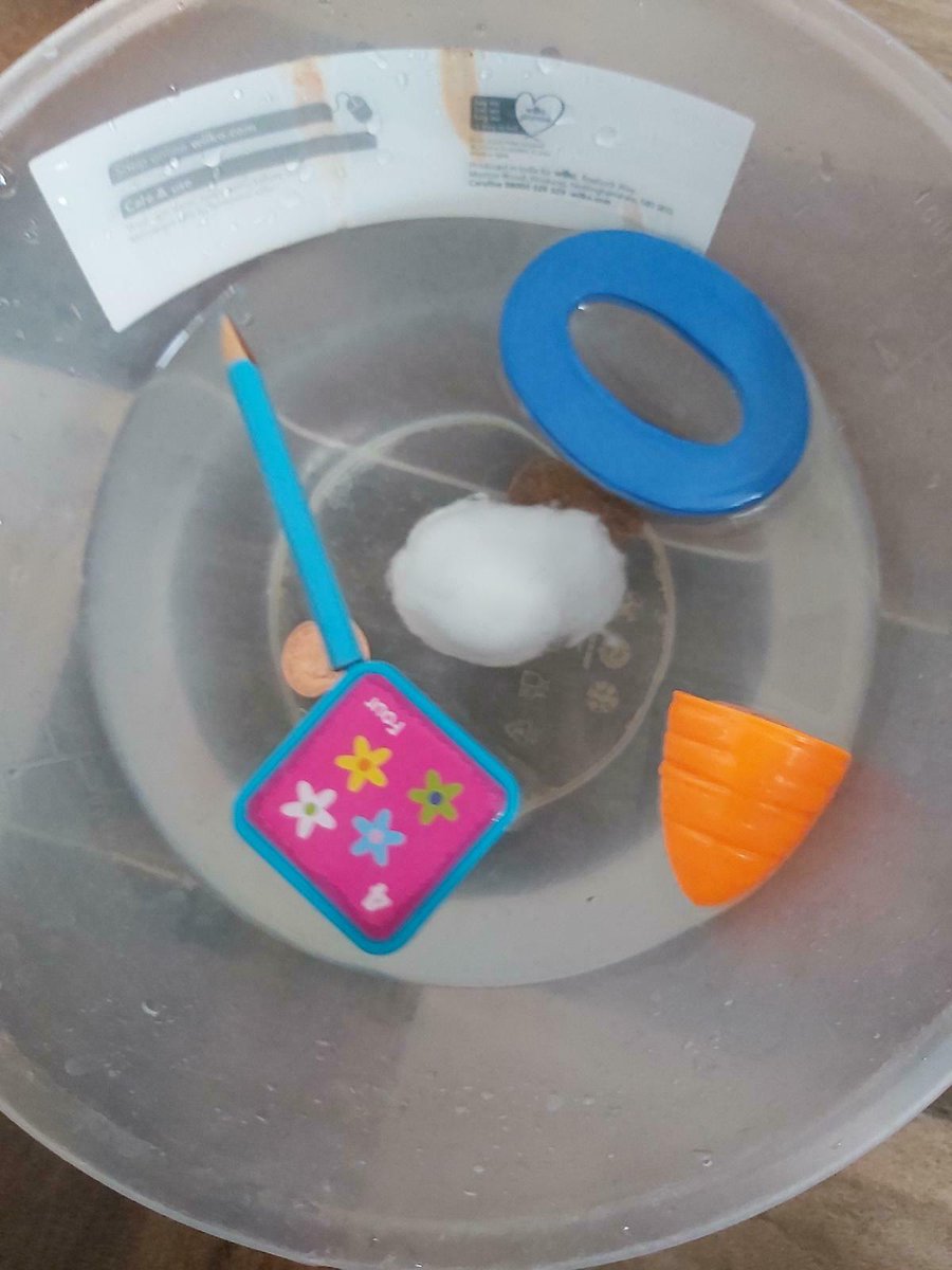 Rowlatts_TMET's tweet photo. Some super science experiments have been taking place in Year 1 today. Children have been testing materials to find out if they float or sink. Why not have a try with some objects of your own? #rmscience #curriosity https://t.co/VmrEk4FXvX