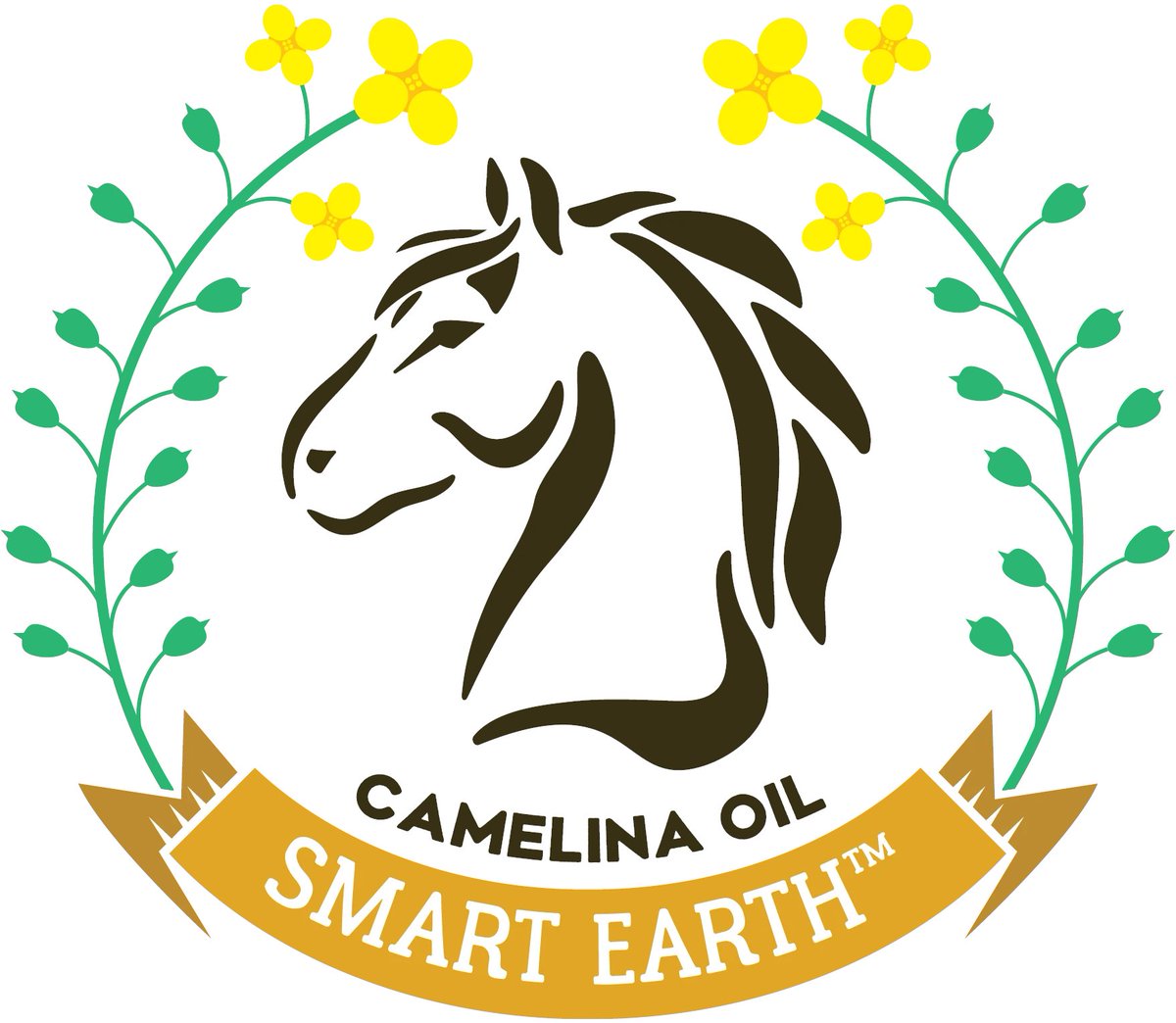HorsesSaves's tweet image. Thank you @smartearthseeds for donating a bucket of Camelina oil for our rescue horses!  smartearthcamelina.com