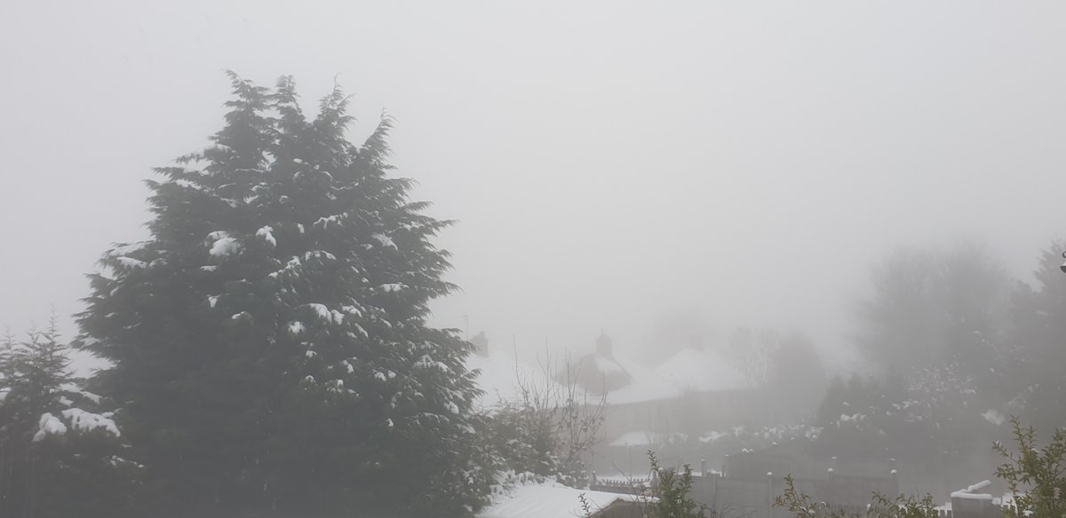 Quiff_X's tweet image. I accidentally changed my render distance irl 😭