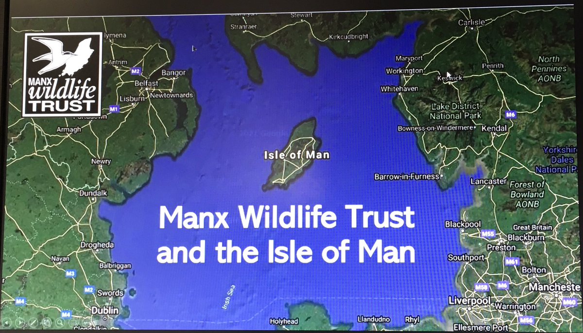 MorrisLeigh's tweet photo. The 2nd @WildlifeTrusts #IrishSeaGroup meeting this morning, with an excellent #IsleofMan presentation by our @DrLaraHowe @manxnature Excellent to have all Nations at the same table 🏴󠁧󠁢󠁷󠁬󠁳󠁿🏴󠁧󠁢󠁥󠁮󠁧󠁿🏴󠁧󠁢󠁳󠁣󠁴󠁿🇮🇲🇮🇪 &amp; Ulster #livingseas #GreatPotential  @LivingSeasNW @LivingSeasWales @ScottishSeas https://t.co/fO1nozsGUQ