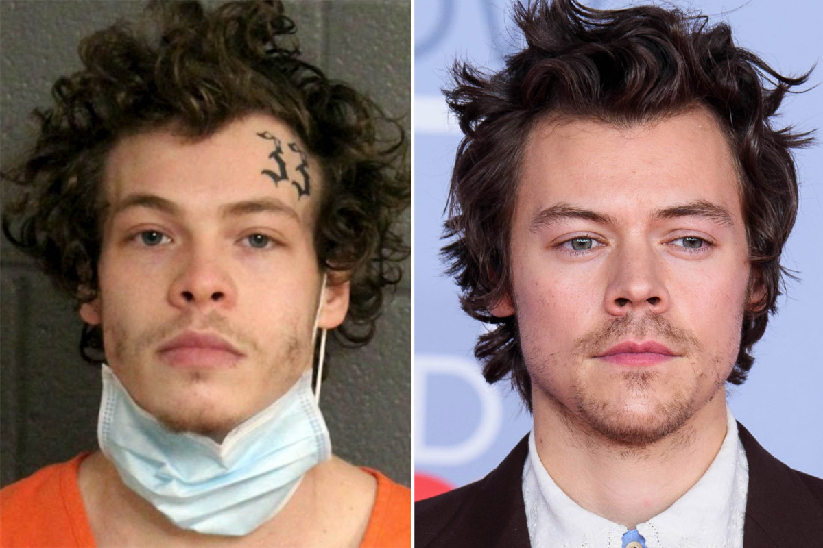 Harry Styles lookalike accused of assaulting woman during robbery