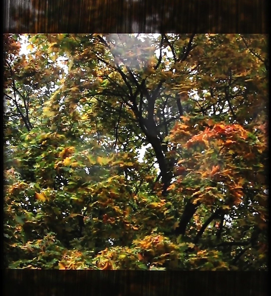 Videotaide löysi tiensä sairaaloiden infomonitoreille. Marko Lampisuon teos esillä <a href="/Tays_sairaala/">Tays</a> Pitkäniemen kehitysvammapolilla ja Laura Böökin teos <a href="/Satasairaala/">Satasairaala</a> Harjavallan sairaalassa. #taiketukee #satakulttuuria #skrtukee <a href="/TuuliPL/">Tuuli P.-L.</a>