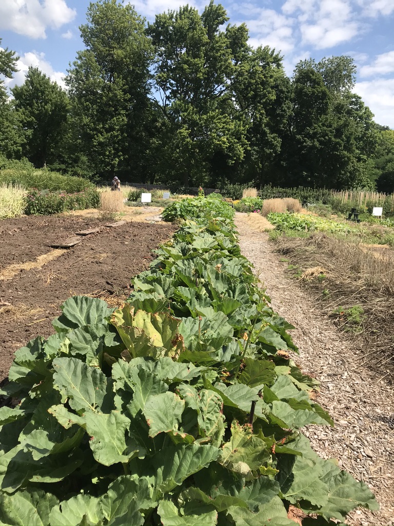 6/10 The change of the planning horizon to 2051 means that future municipal councils and the public will have little power to change decisions about how they will grow for the next 30 years;  #SavetheFarmOnt