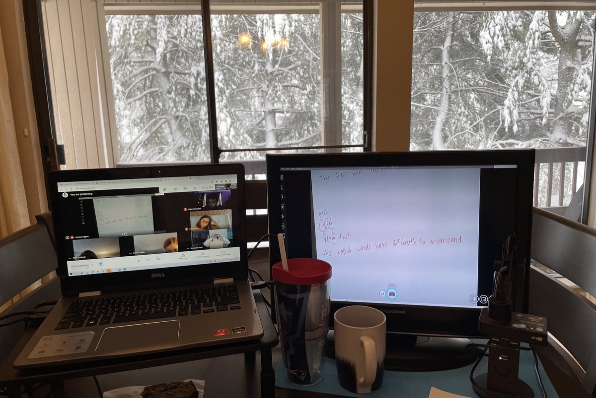 Phonics group with a snowy view. Snow days sure look different this year!