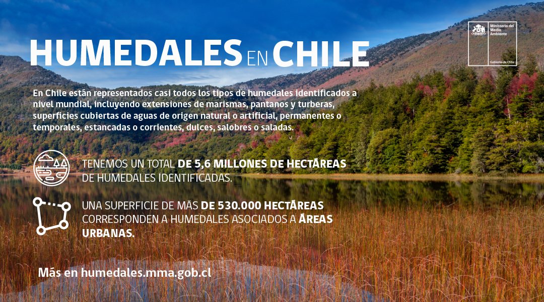 MMAChile's tweet image. ¡Hoy es el #DíaMundialDeLosHumedales! Durante toda la semana les compartiremos una serie de gráficas para contarles más sobre estos ecosistemas clave 🌎

Pueden encontrar más información al respecto en el Inventario Nacional de Humedales de Chile bit.ly/InventarioDeHu…