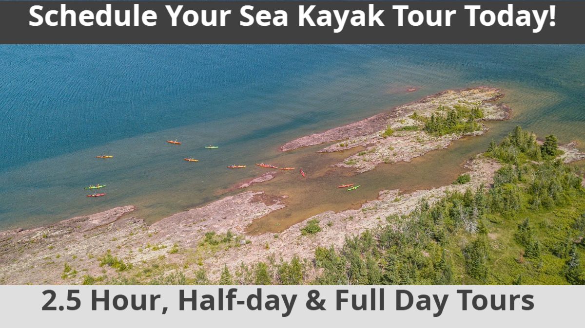 KewAdventure's tweet photo. 🚣Online Booking LIVE for Kayaking, Shuttles &amp; Lodging!! 🚐 Read our most recent e-news letter for details - https://t.co/cB8aYPe7HD https://t.co/XqJ3Jm73xg