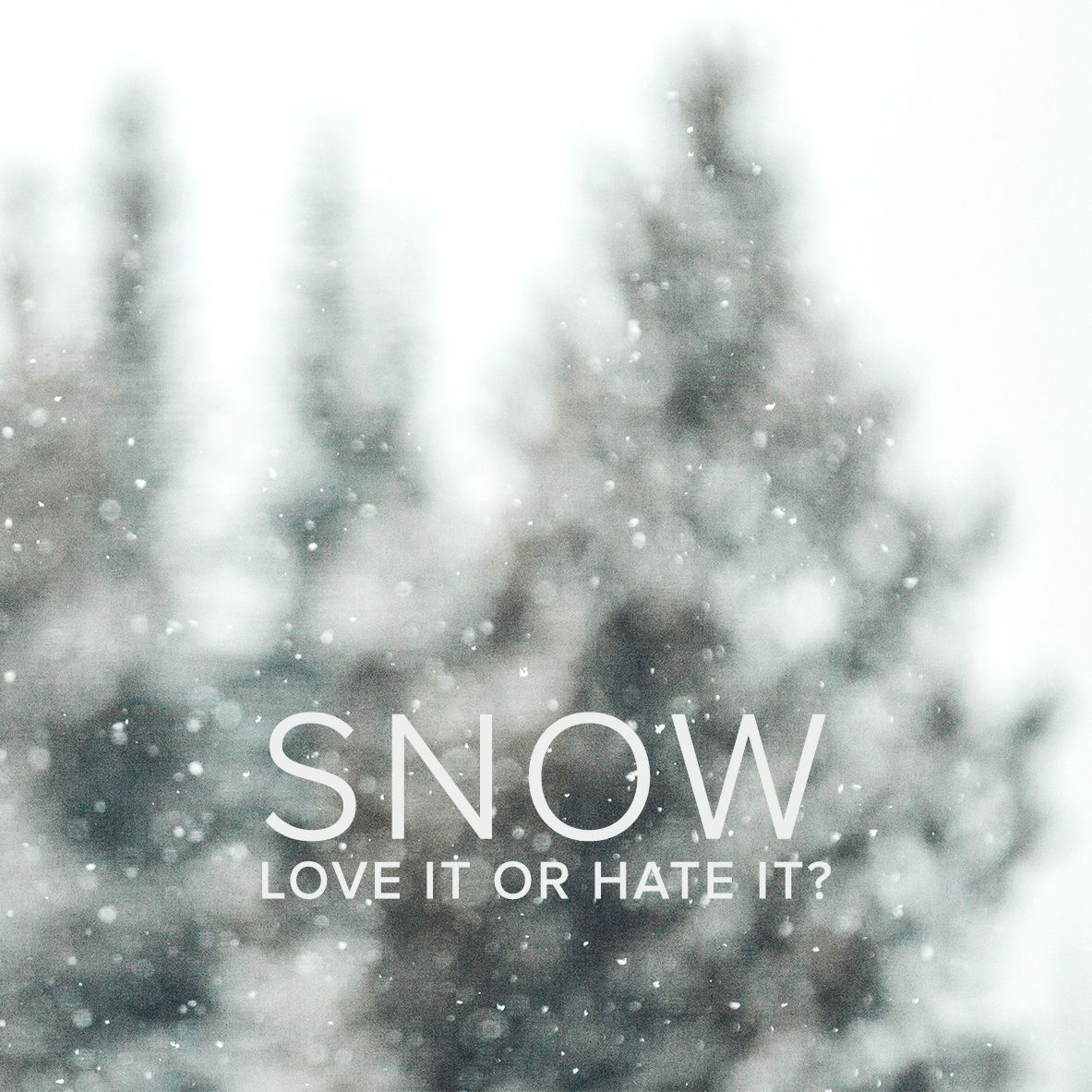 ThePointVA's tweet photo. How do you feel about snow? ❄️⛄️ https://t.co/T1gkeBKHZM