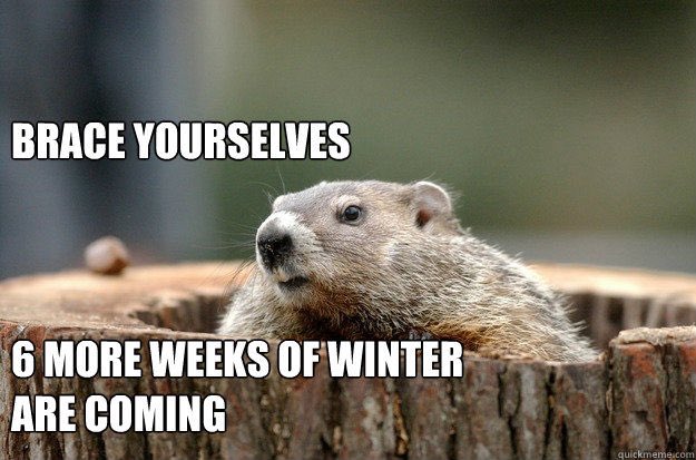 JusticeElement1's tweet photo. Happy Groundhog Day- Thanks Phil!! https://t.co/6R3r8bI412