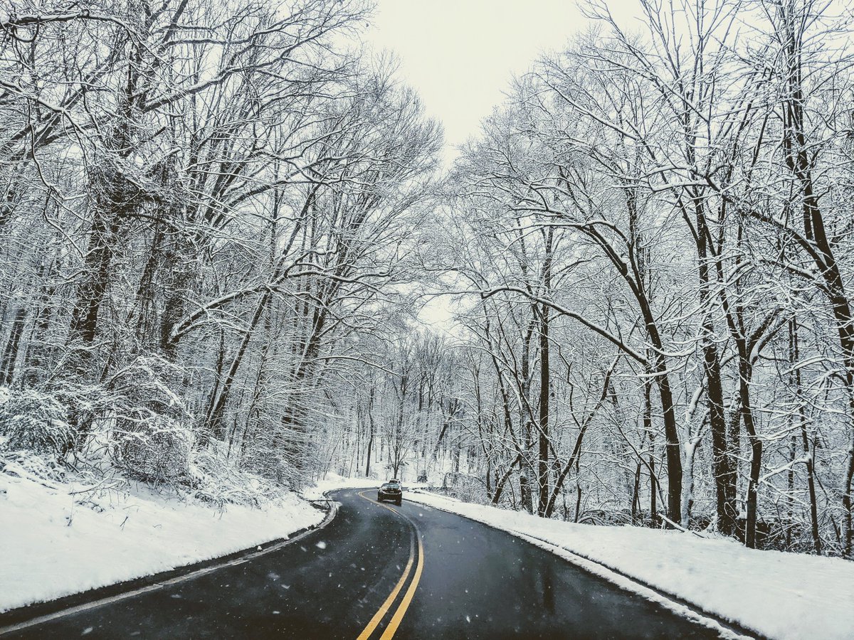 No snow day, but #rockcreekpark is gorgeous though! @capitalweather