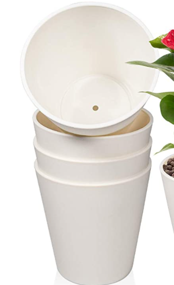 Vaiva Laguna tweet media