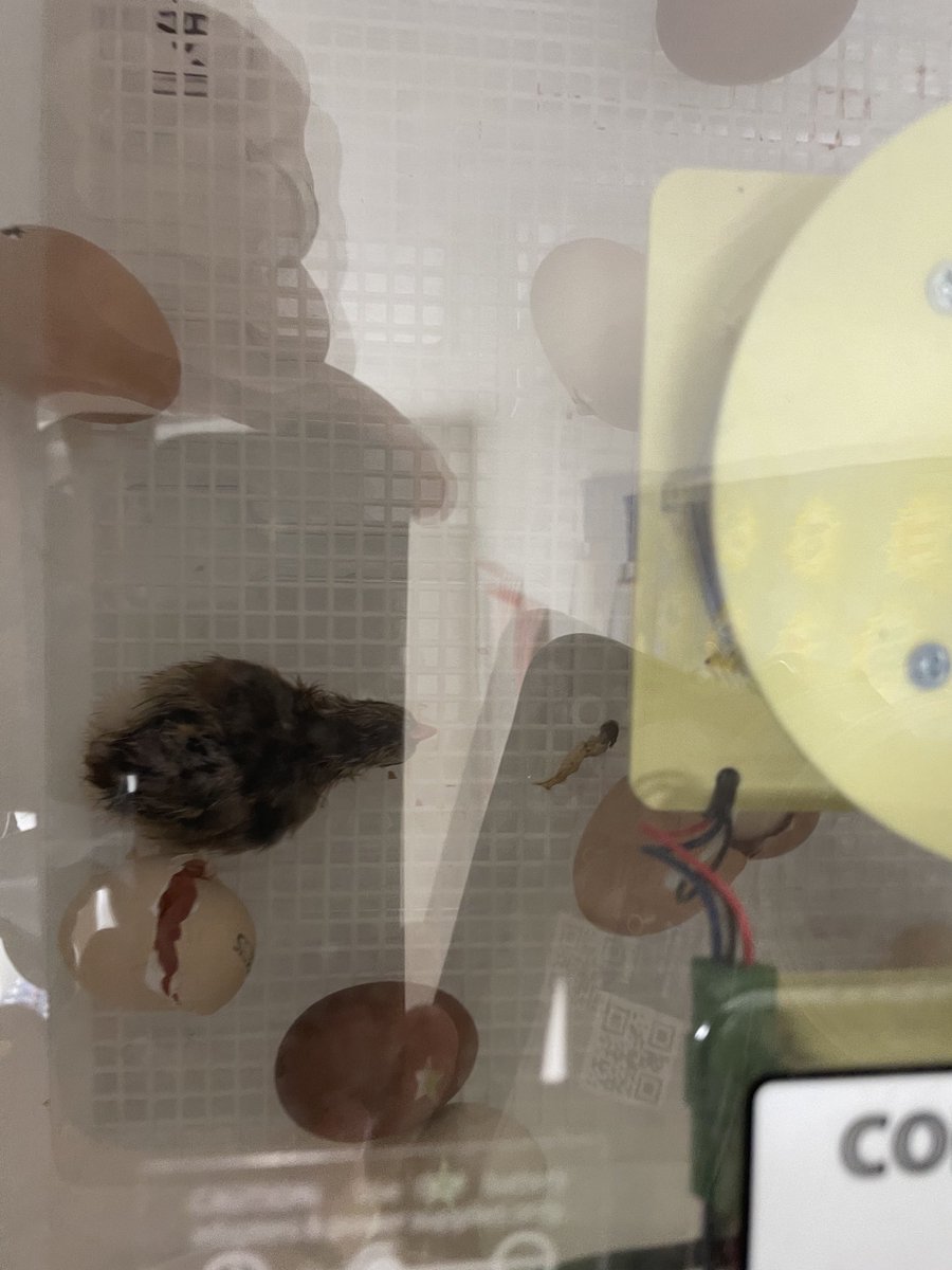 Rich Booth tweet media