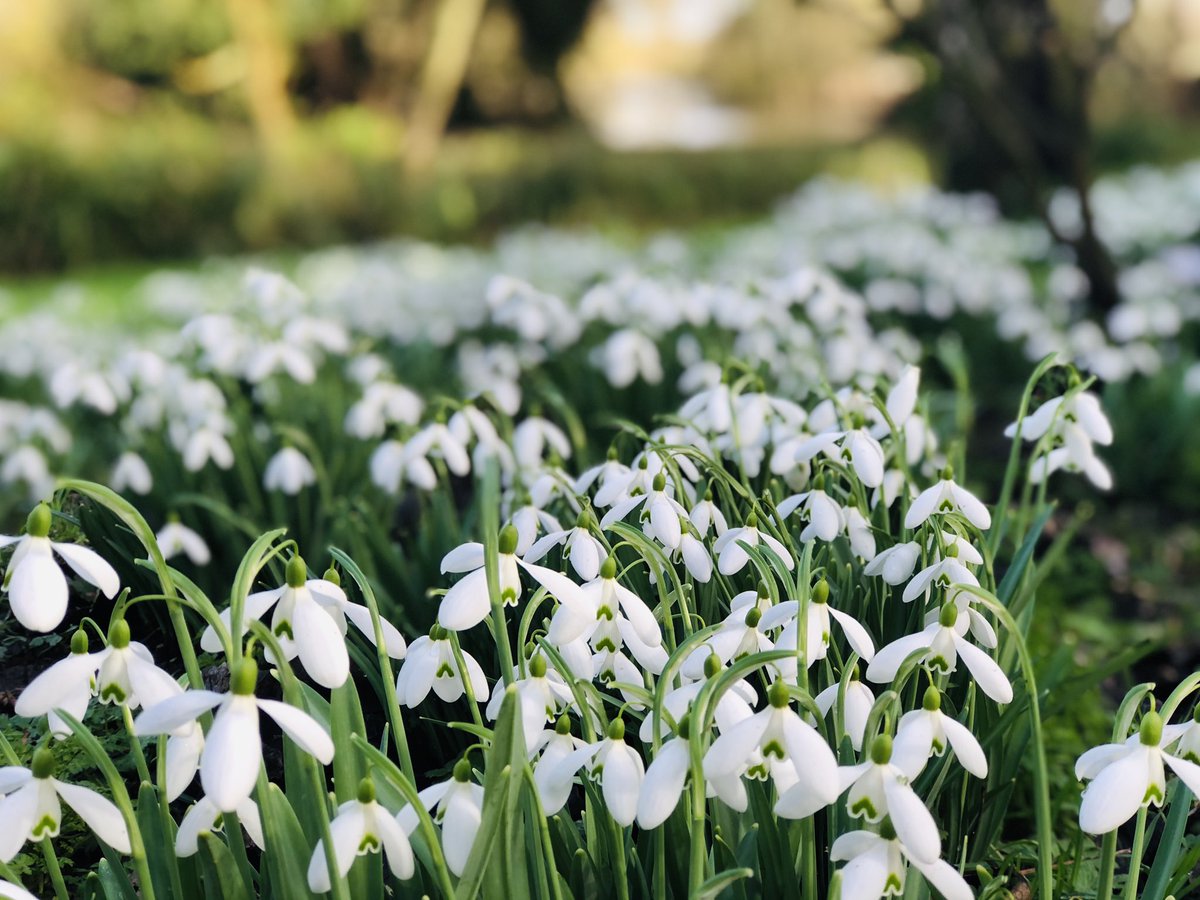 Lovely day out in the gardens <a href="/waterperry/">Waterperry Gardens</a> <a href="/waterperrysimon/">Simon Buchanan</a>