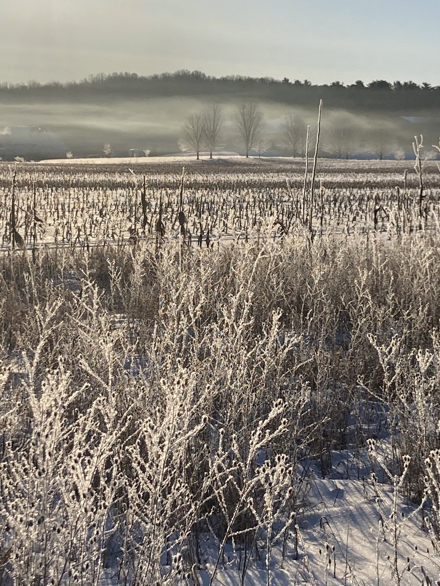 RussClock's tweet image. Morning in Michigan