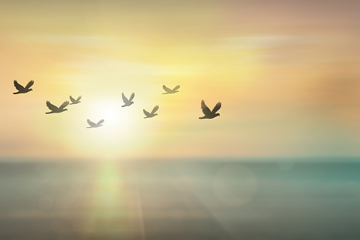 Ms_AngelDanuco's tweet photo. Heavenly Father, in this uncertain world with the unseen enemy, be our certainty, guide, answer and healing. Embrace thy children who feel tired and helpless under your grace. Send light to those who lost their glow. Help us overcome everything with you. #LearnLit #Quicktweet04 https://t.co/OXFsjP6nSy
