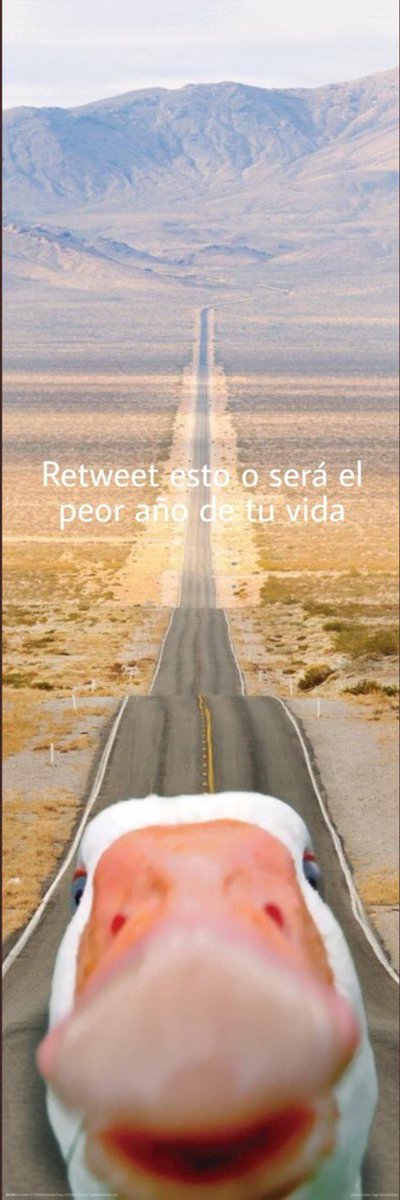 Fr4nKdeuS's tweet photo. @IbaiLlanos NO LO ABRAS!! https://t.co/6FOJdJ9epC