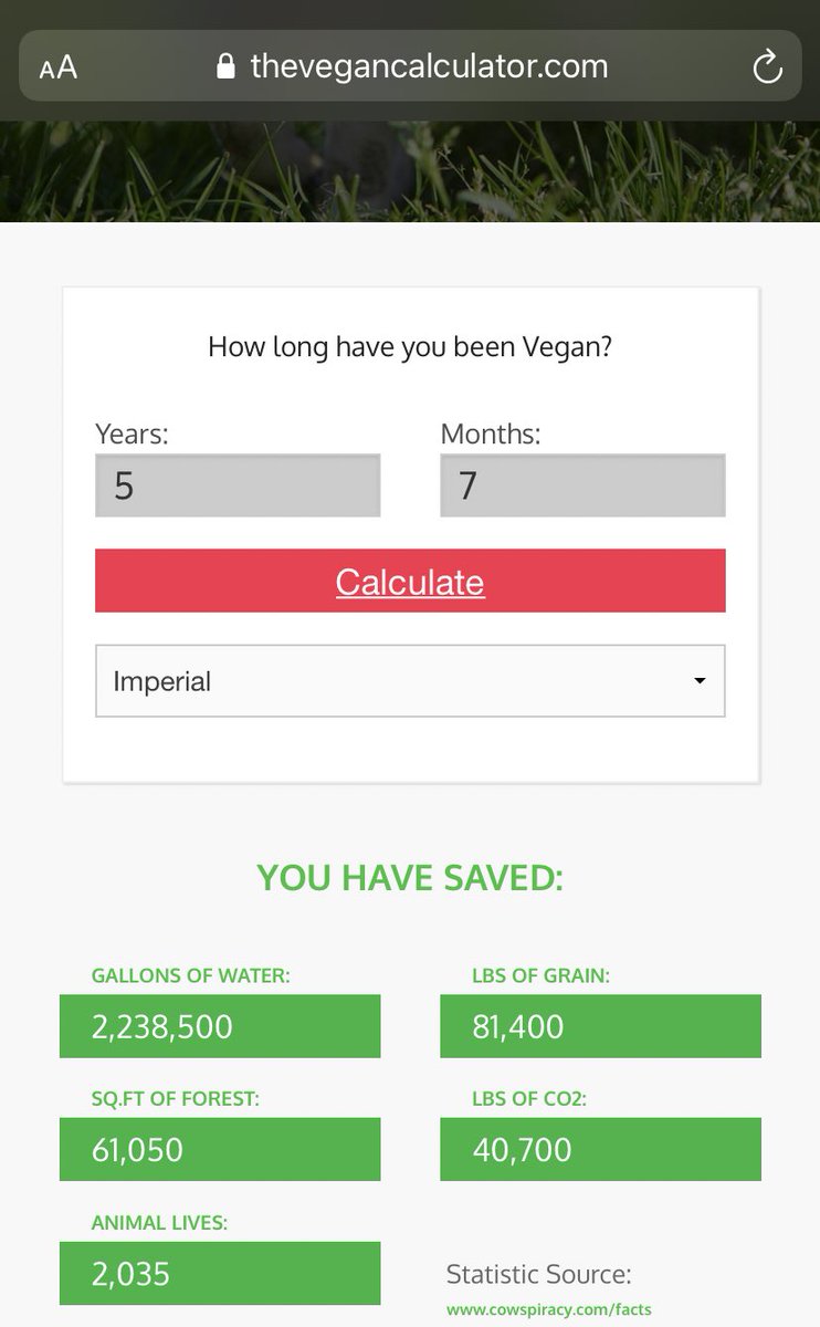🗣
As of yesterday, I am 11 YEARS MEAT FREE! 5 years, 7 months of that has been VEGAN! I am so happy and so proud of this achievement! 
For fun I have attached my savings as a vegan (this does not include what i saved as a vegetarian) 
I am making a difference, and I like that🤩