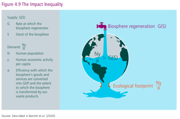 From the outset, the report acknowledges finance as non-neutral:"Finance plays a role in determining both the stock of natural capital and the extent of human demands on the biosphere" (p.467)i.e. it influences both sides of this impact inequality: