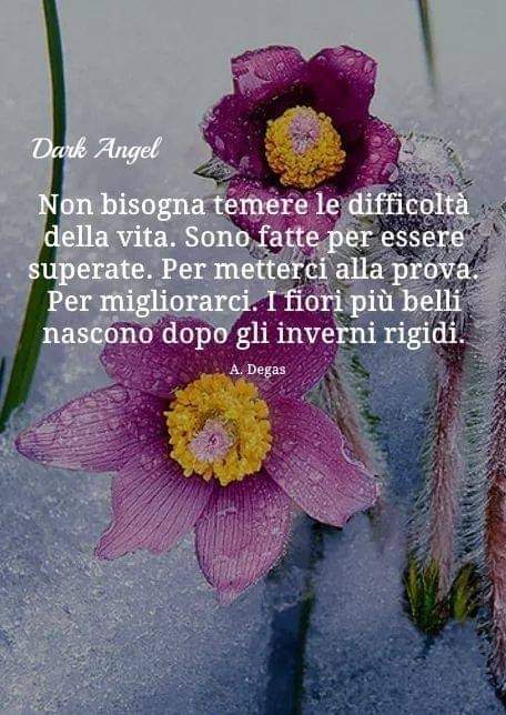 Bella gente pomeriggio buono a tutti voi amici del mio 💚
@nuvola1000
@iside50
@Claudoc3
@Elisa34012803
@SUSANNA60128891
@Susy_1968
@ElenaDettori
@andiamoviaora
@PaolinoNapolit7
@Adri19510
@anari56
@MariaLu91149151
@bruno_luckn
@magicaGrmente22
@guu399
@disicaterina
@pester47