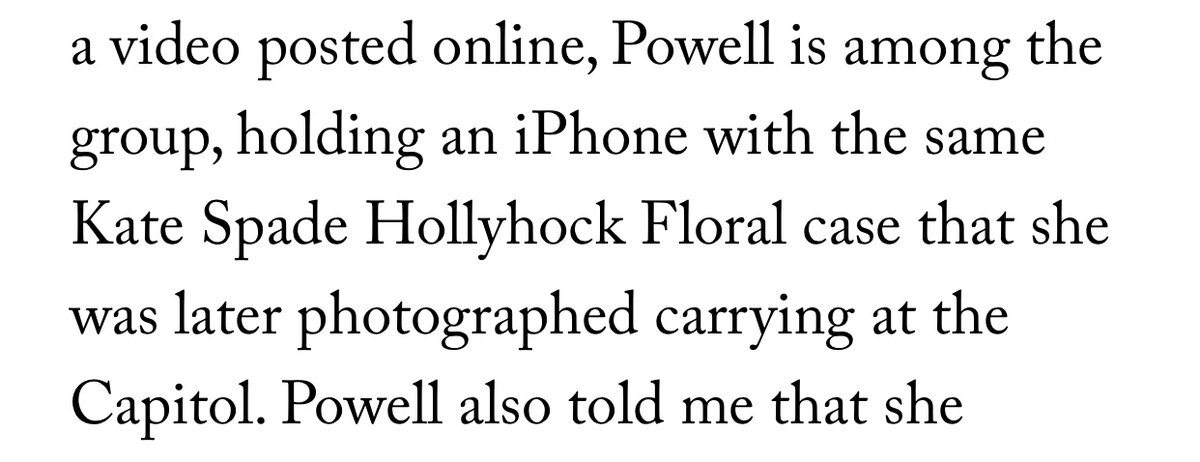 She was identifiable partly based on her attire and accessories, including a jacket designed to hold a gun (she denied that she had one) and a Kate Spade iPhone case that was visible at another far-right protest she attended.