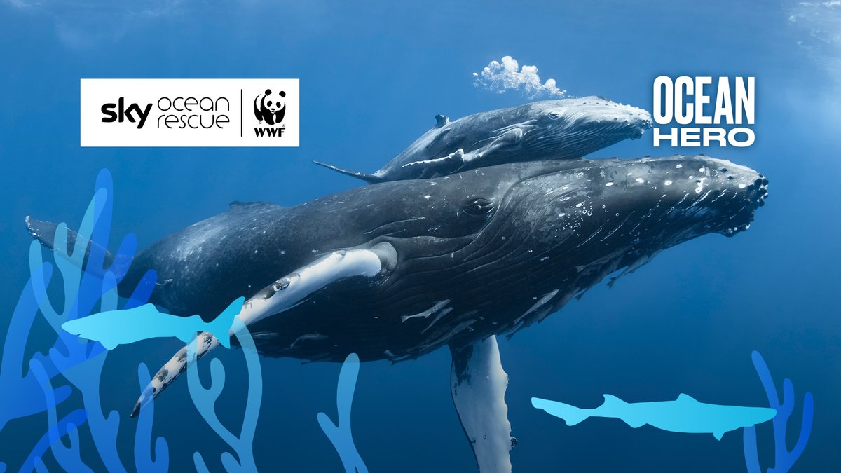 Fill out focus group link below
surveymonkey.co.uk/r/RP86RZ5