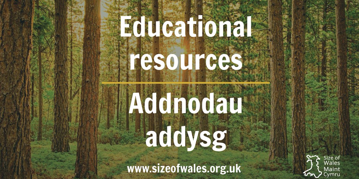 sizeofwales's tweet image. We have new educational resources on @HwbNews! 🌴🌲

This series of videos and quizzes introduces concepts of forests, the importance of tropical forests, their role in climate change and how our behaviours influence deforestation.

Learn more: hwb.gov.wales/repository/res…
