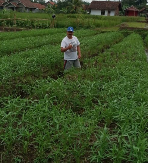 didisardi76's tweet photo. Semangat Petani Indonesia di Tenjolayar - Majalengka kami berkarya @CCiborete @Agustinsmart @yosuparyo @kementan @ridwankamil https://t.co/U6e0axJ4Xg