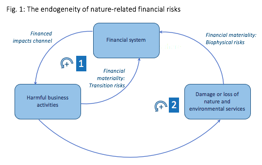 Hence importantly for financial authorities:"An assessment of a financial institution’s impacts, in addition to its dependencies, on natural capital is important in understanding exposures to both transition and physical risks" (p.428)Note the TCFD currently neglects impacts.