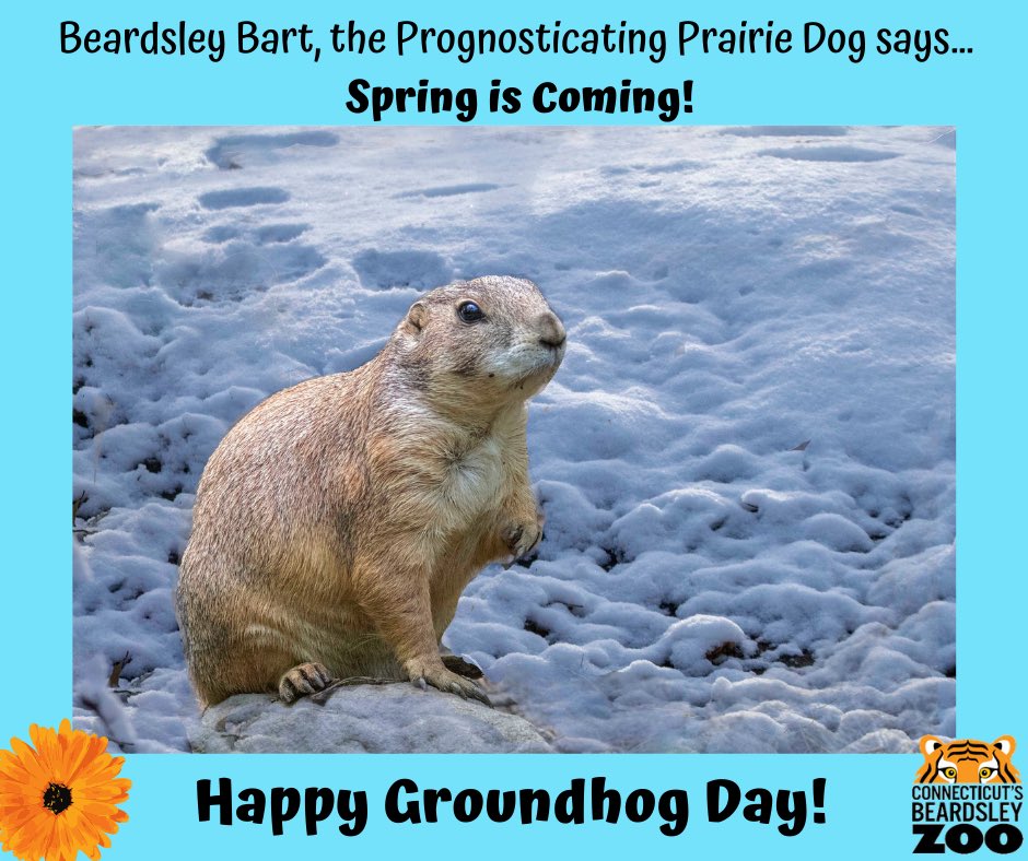 Connecticut's Beardsley Bart (@beardsleybart) on Twitter photo 