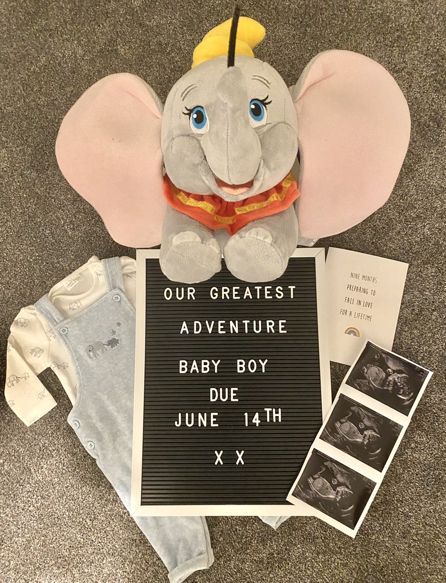 Lisa and I can’t wait to meet our baby boy. The greatest adventure. 19 weeks to go 💙