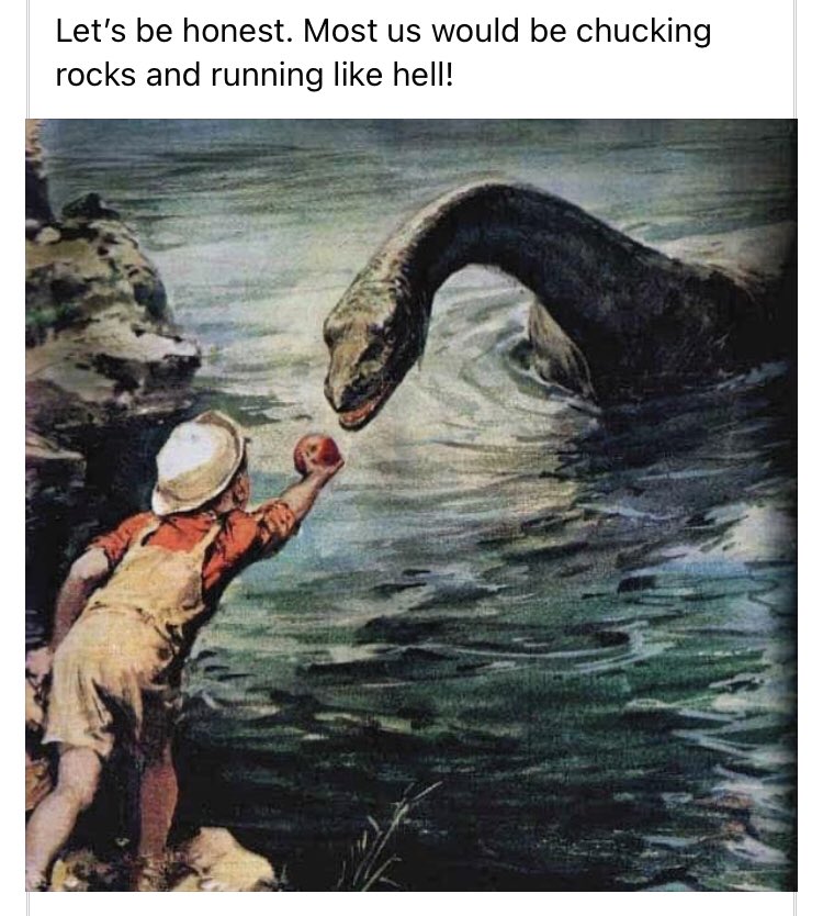 #chuckrocks the <a href="/cryptonautpod/">Cryptonaut Podcast</a> way #chuckrocksandrunlikehell