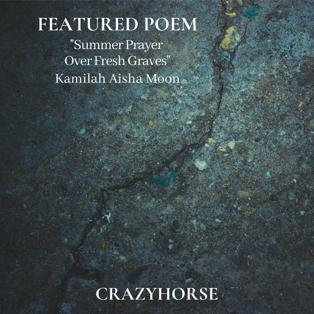 swamp pink tweet media