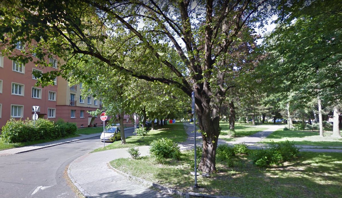 Neighborhoods were organized along the "mikroraion" model, with traffic limited and all basic needs accessible within a short walk. Trees were densely planted to provide cover in the hot summers and wet winters.