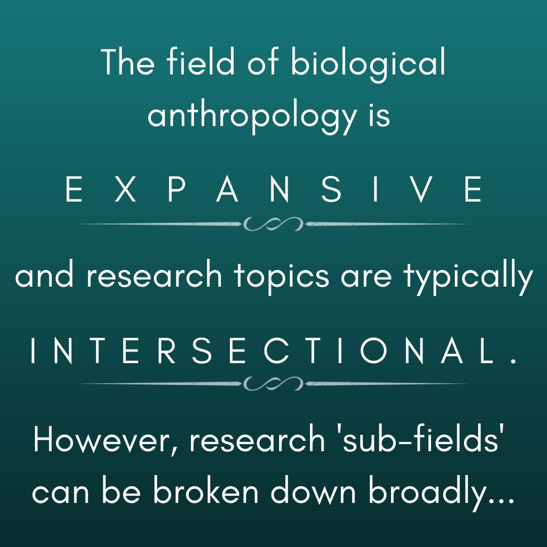 As you saw yesterday, BioAnthropologists are doing a little bit of everything! So today we want to break it down for you, or at least try lol  #SubfieldShoutout
