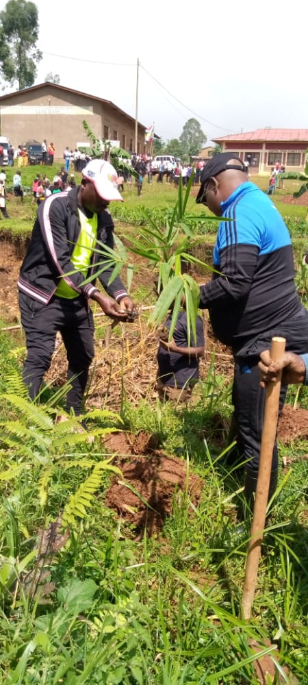3. Il a profité de cette occasion pour mettre en oeuvre le programme national de reboisement " Ewe Burundi Urambaye", en plantant des arbres aux alentours de la rivière Kanyengwe de la Commune Isare.