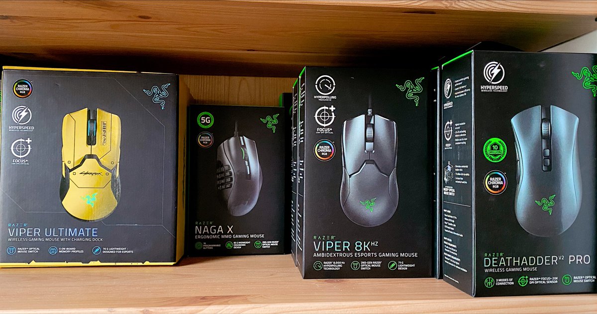 Estos pequeños pero letales buscan hogar. ¿Voluntarios? 🙋🏻‍♂️🙋🏼‍♀️